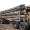 Camion avec 30 stères de bois rond de hêtre, chêne et charme